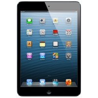 iPad mini Wi-Fi + Cellular 64GB - Black & Slate
