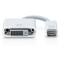 Apple Mini-DVI to DVI Adapter
