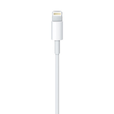 Apple Lightning to USB Cable (0.5 m)