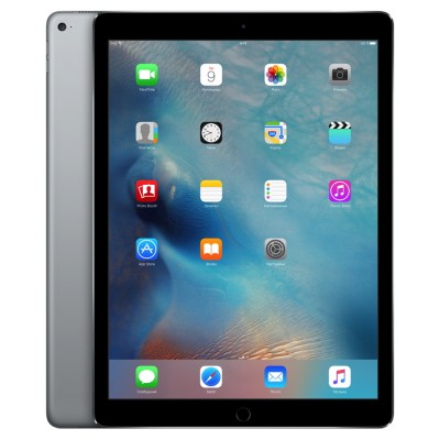 iPad Pro 12.9" Wi-Fi 256GB - Space Gray